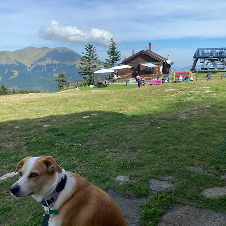 Διαμέρισμα Belfiore *