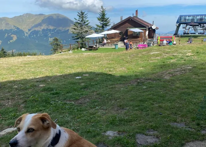 Διαμέρισμα Belfiore *