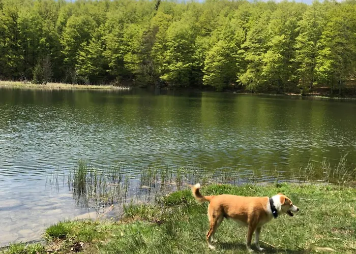 Belfiore Cerreto Laghi